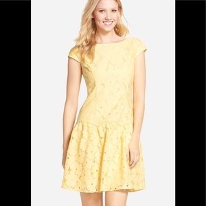 Adrianna Papell Lace Butter Dress